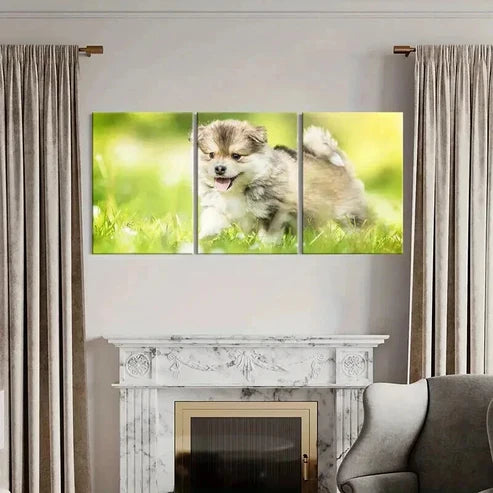 3pcs Brown Puppy on Green Grass Painting Wall Art Canvas Unframed - High Quality Print 100% Australian Made Wall Canvas - Bella Home Decor