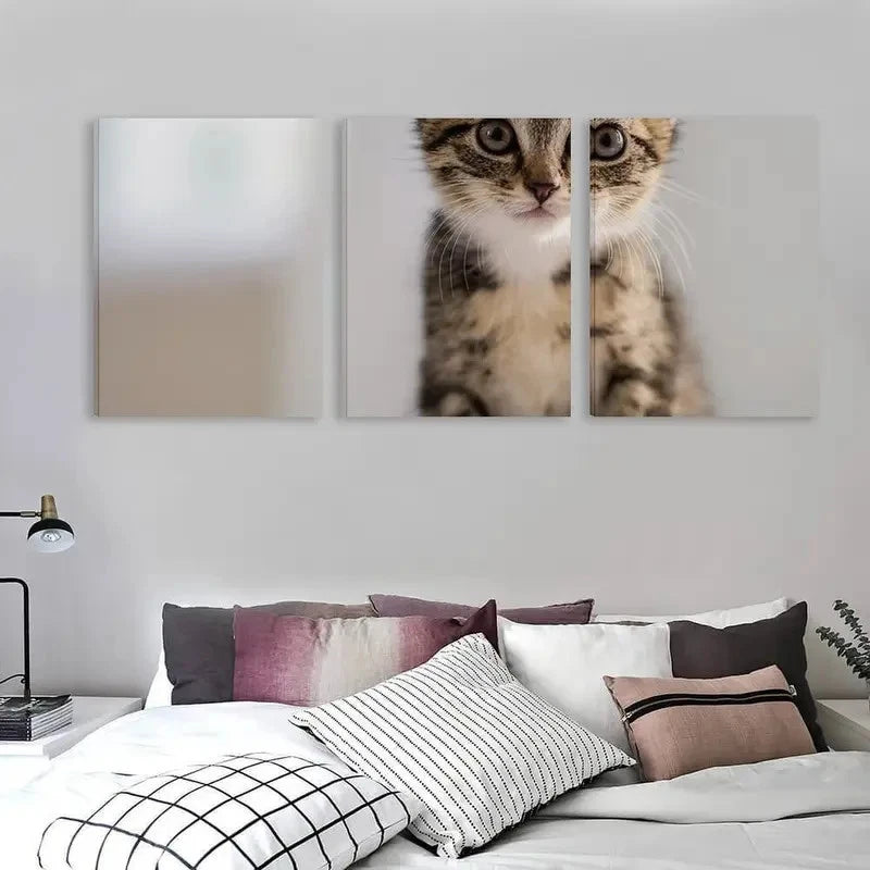 3pcs Modern Tabby Kitten Art   Wall Art Set Canvas Framed 50x70cm - High Quality Print 100% Australian Made Wall Canvas Ready to Hang