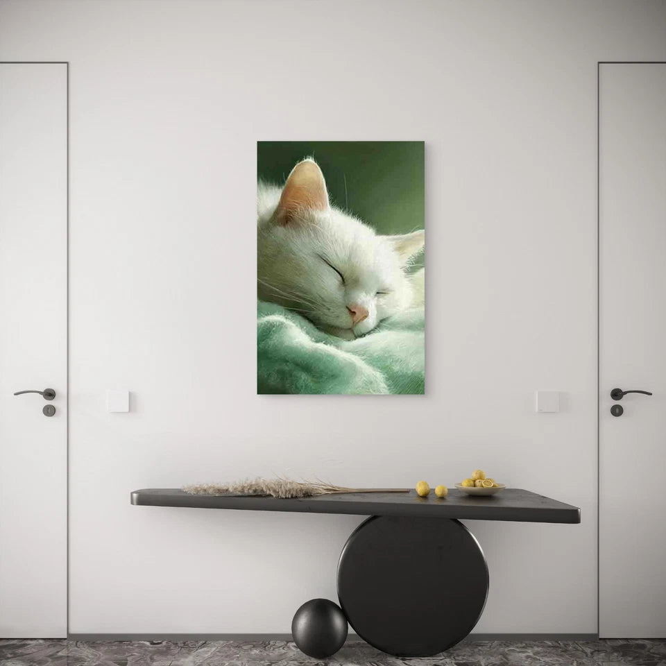 Serene Sleeping White Cat Metal Print Ready to Hang