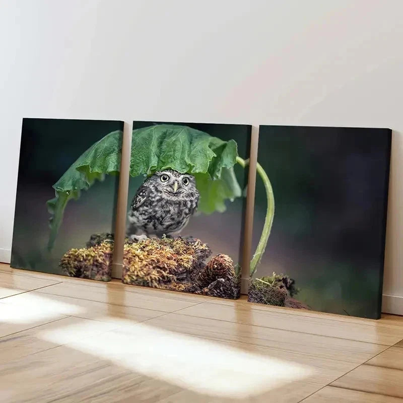 3pcs Bird Art Cute Owl Under a  Leaf Modern Wall Art Set Canvas Framed 50x70cm - High Quality Print 100% Australian Made Wall Canvas Ready to Hang - Bella Home Decor