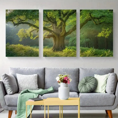 3pcs Sunlight, Green Leaves Canvas   Wall Art Set Canvas Framed 40x60cm - High Quality Print 100% Australian Made Wall Canvas Ready to Hang