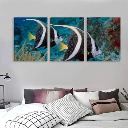 3pcs Two Black and white Angelfish swimming  Wall Art Set Canvas Framed 40x60cm - High Quality Print 100% Australian Made Wall Canvas Ready to Hang