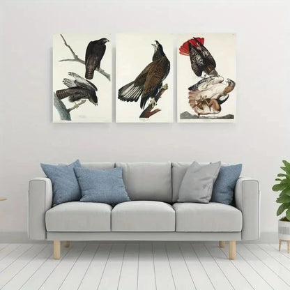 3pcs Timeless Bird Classic Triptych  Wall Art Set Canvas Framed 40x60cm - High Quality Print 100% Australian Made Wall Canvas Ready to Hang