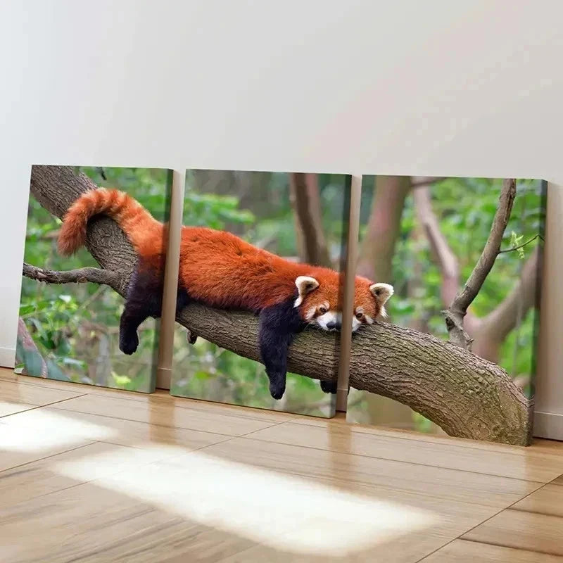 3pcs Animal Art Red Panda Modern Wall Art Set Canvas Framed 60x90cm - High Quality Print 100% Australian Made Wall Canvas Ready to Hang - Bella Home Decor