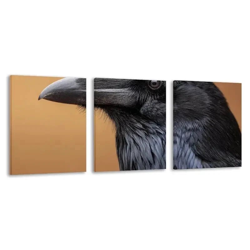 3pcs Black Raven Artwork Decoration  Wall Art Set Canvas Framed 40x60cm - High Quality Print 100% Australian Made Wall Canvas Ready to Hang - Bella Home Decor