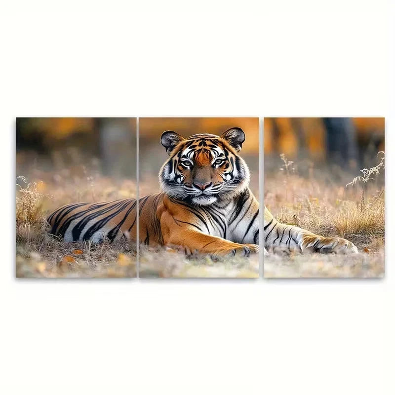 3pcs Resting in Tiger Reserve National Park Wall Art Set Canvas Framed 50x70cm - High Quality Print 100% Australian Made Wall Canvas Ready to Hang