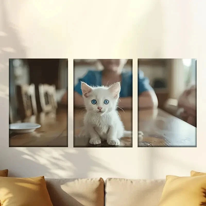 3pcs Cute white cat Wall Art Set Canvas Framed 50x70cm - High Quality Print 100% Australian Made Wall Canvas Ready to Hang - Bella Home Decor