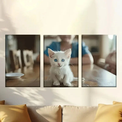 3pcs Cute white cat Wall Art Set Canvas Framed 50x70cm - High Quality Print 100% Australian Made Wall Canvas Ready to Hang - Bella Home Decor