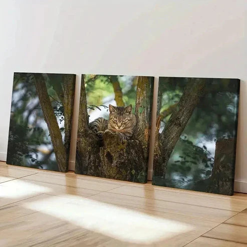 3pcs Charming Grey Kitten on Tree Wall Art Canvas Unframed - High Quality Print 100% Australian Made Wall Canvas - Bella Home Decor