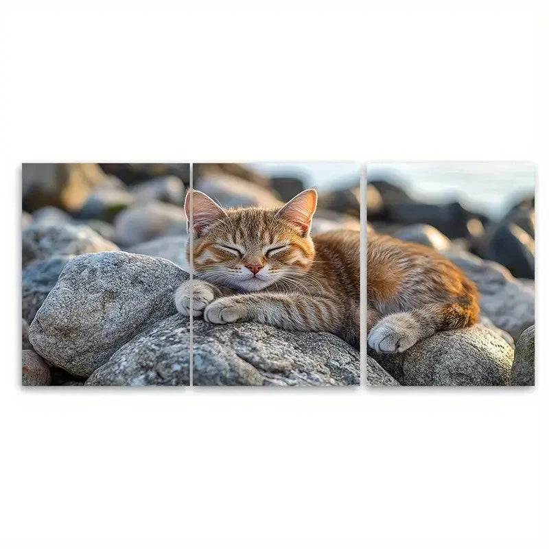 3pcs Seaside Adventure Cat on Rocks TI  Wall Art Set Canvas Framed 60x90cm - High Quality Print 100% Australian Made Wall Canvas Ready to Hang - Bella Home Decor