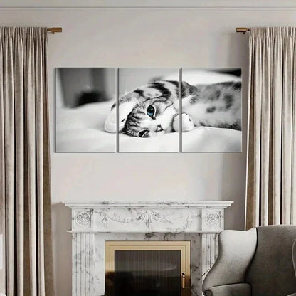 3pcs Pet Art Cute Cat Modern Decoration Wall Art Set Canvas Framed 60x90cm - High Quality Print 100% Australian Made Wall Canvas Ready to Hang