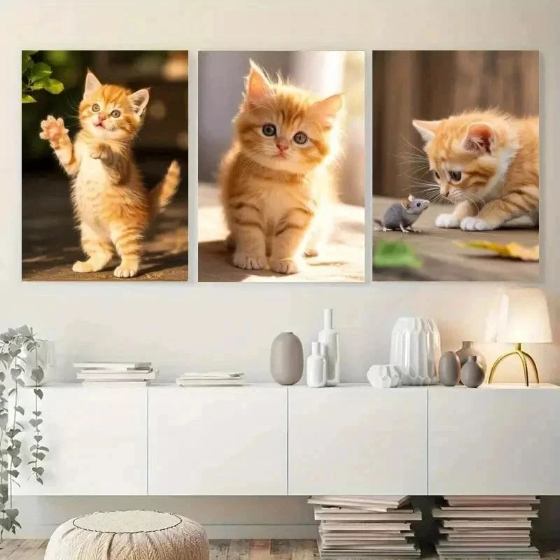 3pcs Adorable Kitten  Wall Art Canvas   wall Art Set Canvas Framed 50x70cm - High Quality Print 100% Australian Made Wall Canvas Ready to Hang - Bella Home Decor