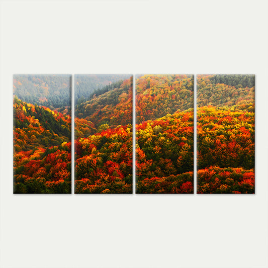4pcs Sumptuous Autumn Valley Forest Tree Wall Art Canvas Framed 45x80cm - High Quality Print 100% Australian Made Wall Canvas Ready to Hang