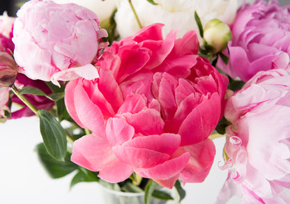 Pink Peonies Closeup Photograph Home Decor Premium Quality Poster Print Choose Your Sizes