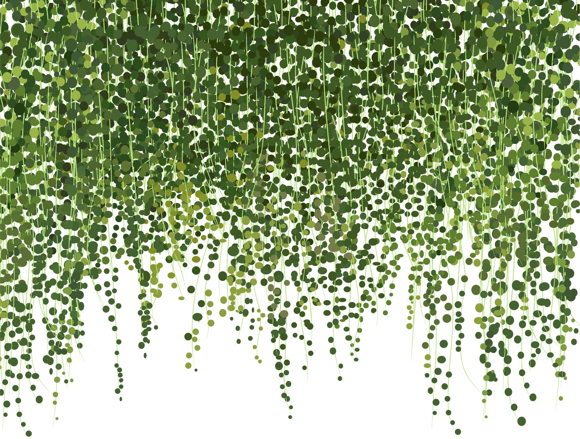 Leaves Vector Art Design Home Decor Premium Quality Poster Print Choose Your Sizes