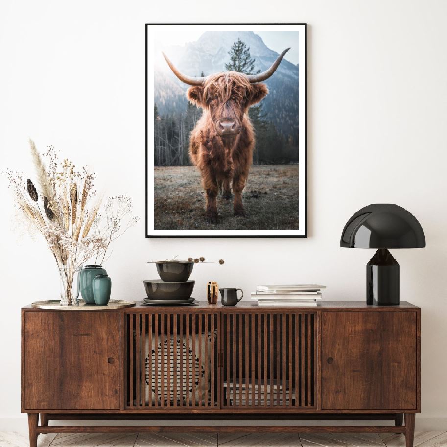 Highland Cow Portrait Photograph Home Decor Premium Quality Poster Print Choose Your Sizes