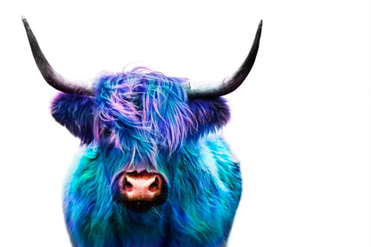 Highland Cow Portrait Photograph Home Decor Premium Quality Poster Print Choose Your Sizes