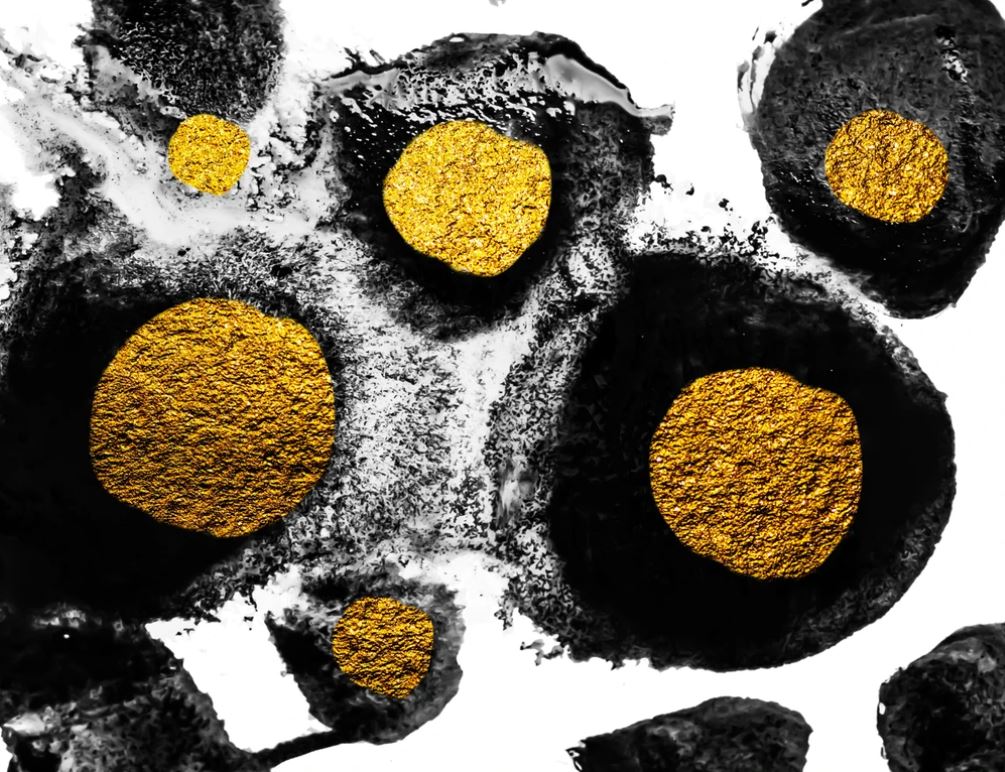 Gold & Black Abstract Design Home Decor Premium Quality Poster Print Choose Your Sizes