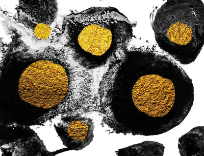Gold & Black Abstract Design Home Decor Premium Quality Poster Print Choose Your Sizes