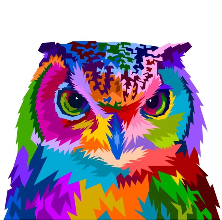 Owl Portrait Abstract Design Home Decor Premium Quality Poster Print Choose Your Sizes