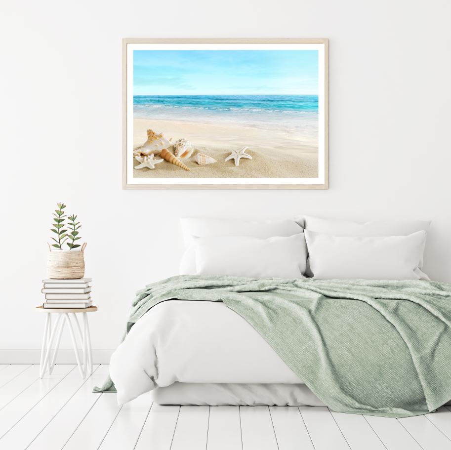 Stunning Sea Shells on Beach Photograph Home Decor Premium Quality Poster Print Choose Your Sizes