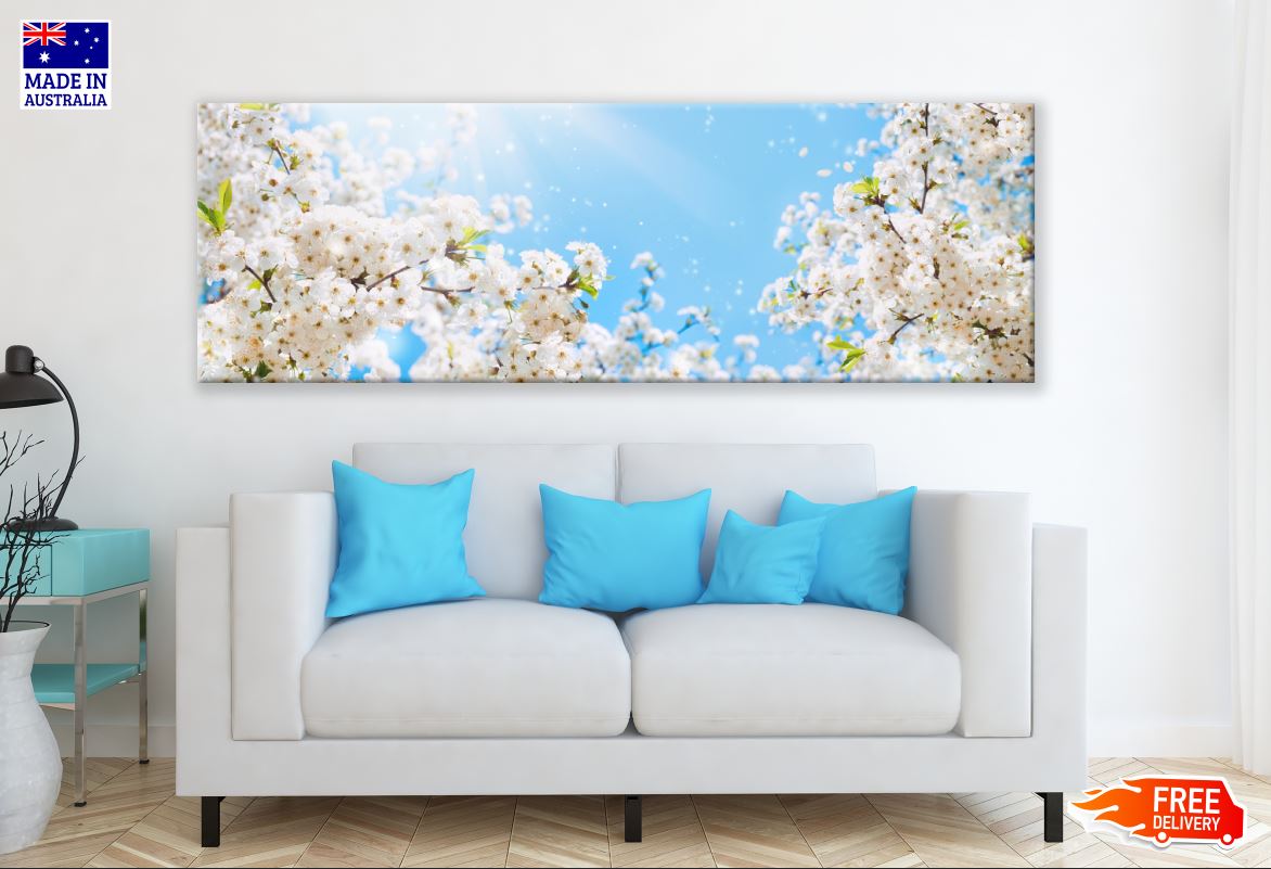 Panoramic Canvas Cherry Blossom Tree with Flowers High Quality 100% Australian made wall Canvas Print ready to hang