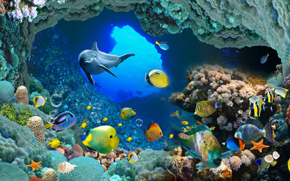Underwater Fish Scenery View Home Decor Premium Quality Poster Print Choose Your Sizes