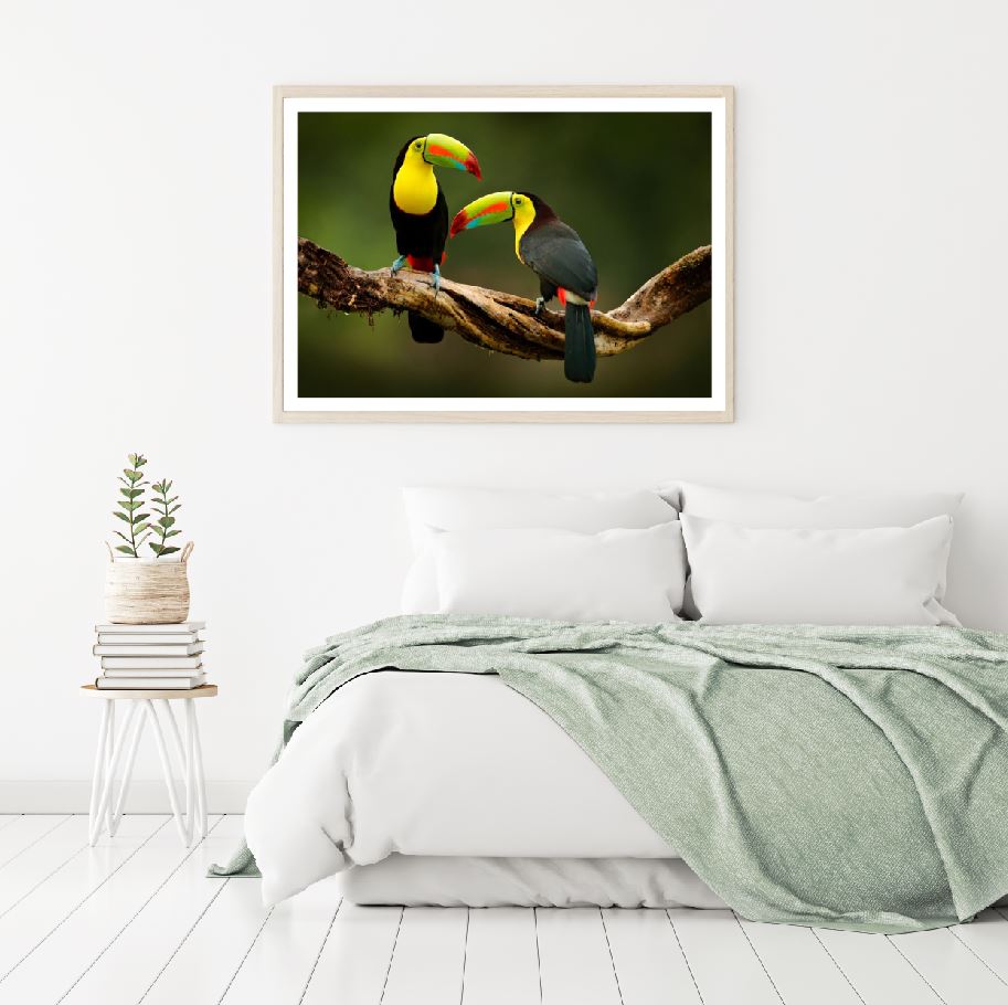 Toucan Birds on Tree Photograph Home Decor Premium Quality Poster Print Choose Your Sizes