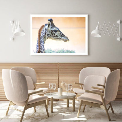 Giraffe Portrait Photograph Home Decor Premium Quality Poster Print Choose Your Sizes