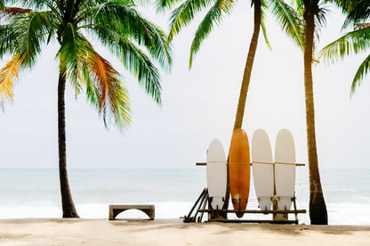 Palm Trees & Surfing Boards with Beach View Print 100% Australian Made