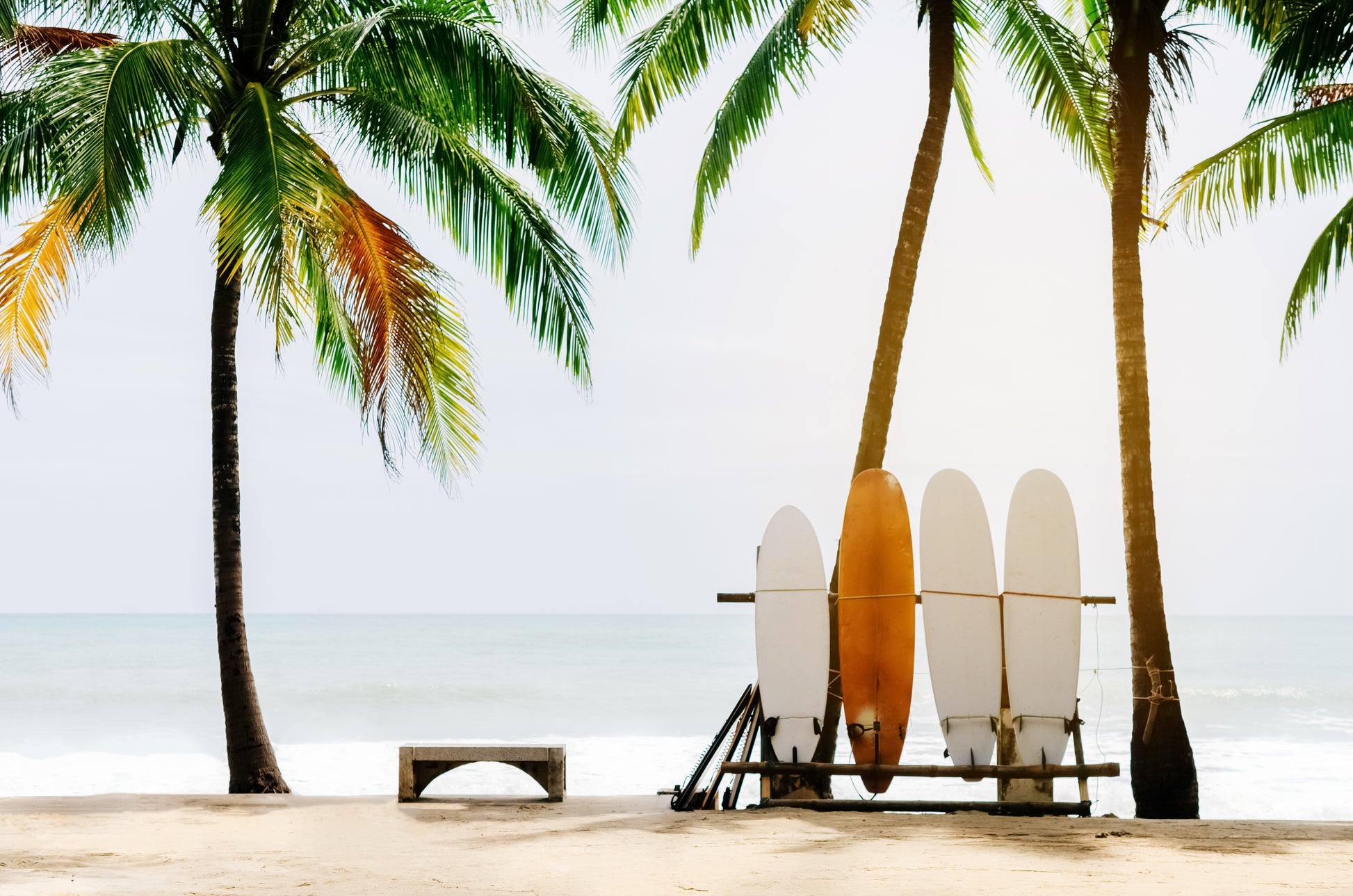 Wallpaper Murals Peel and Stick Removable Surf Boards Near Beach & Palm Trees High Quality