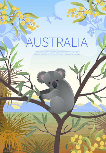 Koala Bear Art Print 100% Australian Made