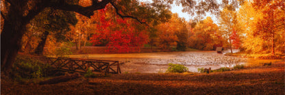 Panoramic Canvas Autumn Forest High Quality 100% Australian made wall Canvas Print ready to hang