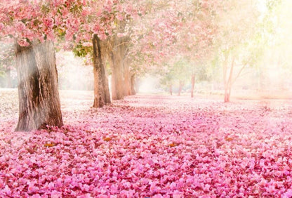 Wallpaper Murals Peel and Stick Removable Pink Flower Trees & Flowers on Ground Photograph High Quality