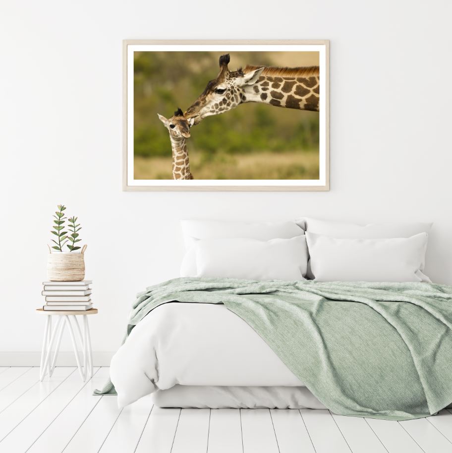 Giraffe & Baby Faces Portrait Photograph Home Decor Premium Quality Poster Print Choose Your Sizes
