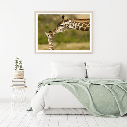Giraffe & Baby Faces Portrait Photograph Home Decor Premium Quality Poster Print Choose Your Sizes