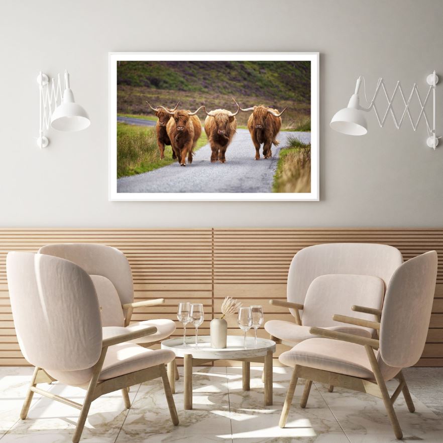 Highland Cow Closeup Photograph Home Decor Premium Quality Poster Print Choose Your Sizes