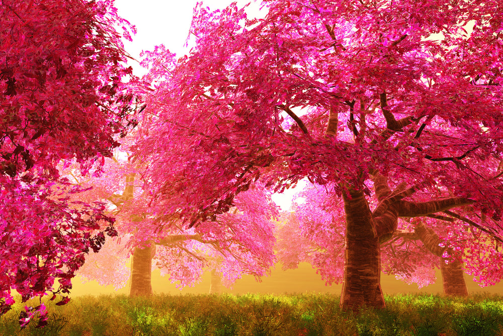 Wallpaper Murals Peel and Stick Removable Pink Leaf Trees High Quality