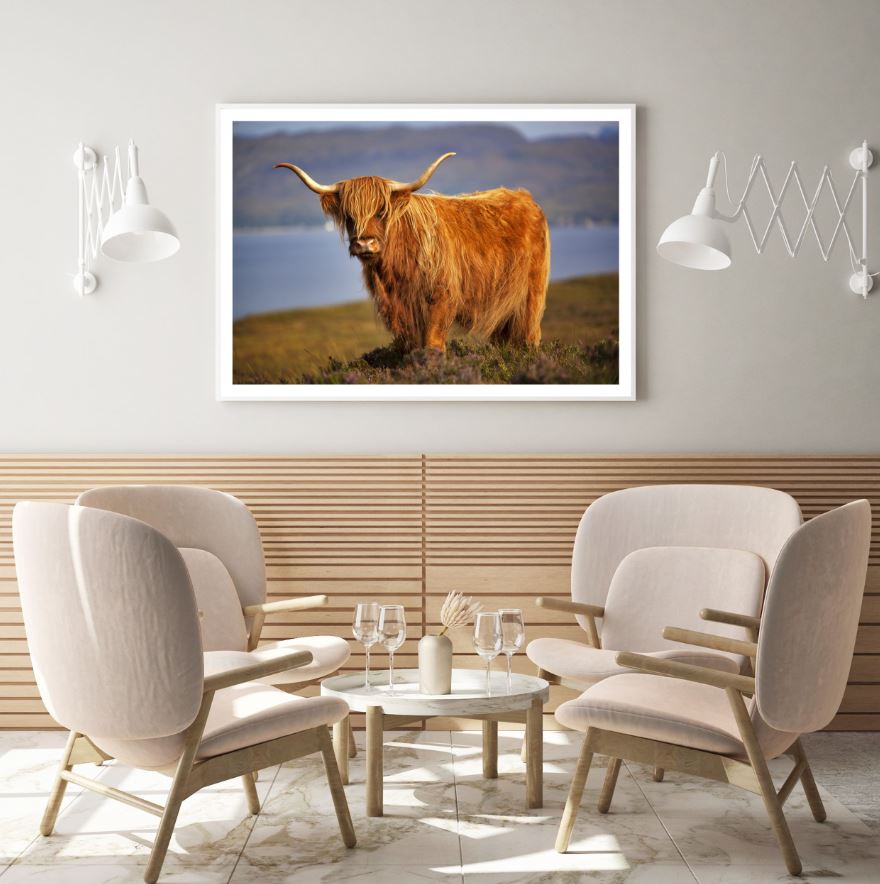 Highland Cow Closeup Photograph Home Decor Premium Quality Poster Print Choose Your Sizes