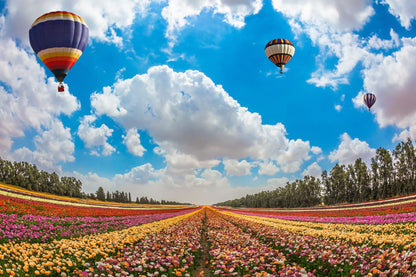 Wallpaper Murals Peel and Stick Removable Flower Field with Hot Air Balloons High Quality