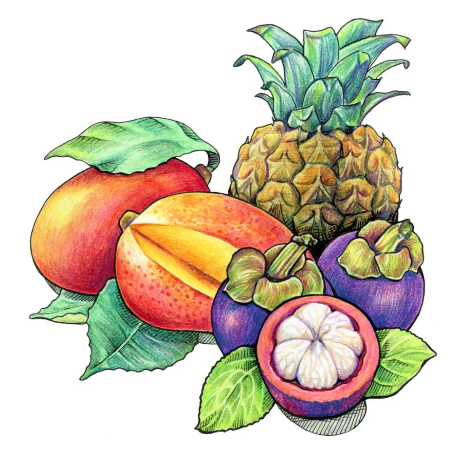 Square Canvas Colourful Fruits Art High Quality Print 100% Australian Made