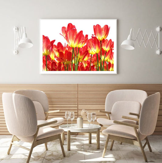 Red Flower Field Photograph Home Decor Premium Quality Poster Print Choose Your Sizes