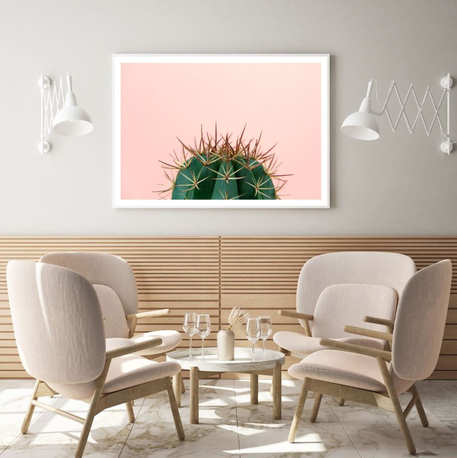 Cactus Plant Closeup Photograph Home Decor Premium Quality Poster Print Choose Your Sizes