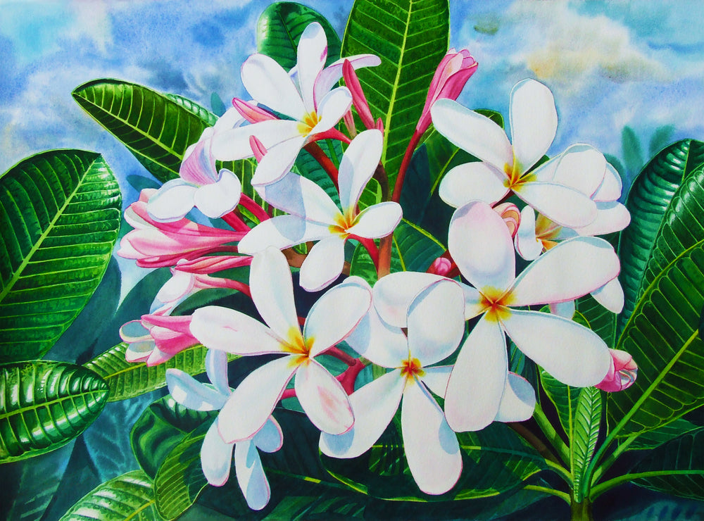 Flower Art Print 100% Australian Made
