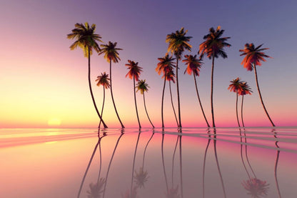 Wallpaper Murals Peel and Stick Removable Pool & Beach with Palm Trees in Sunset Photograph High Quality