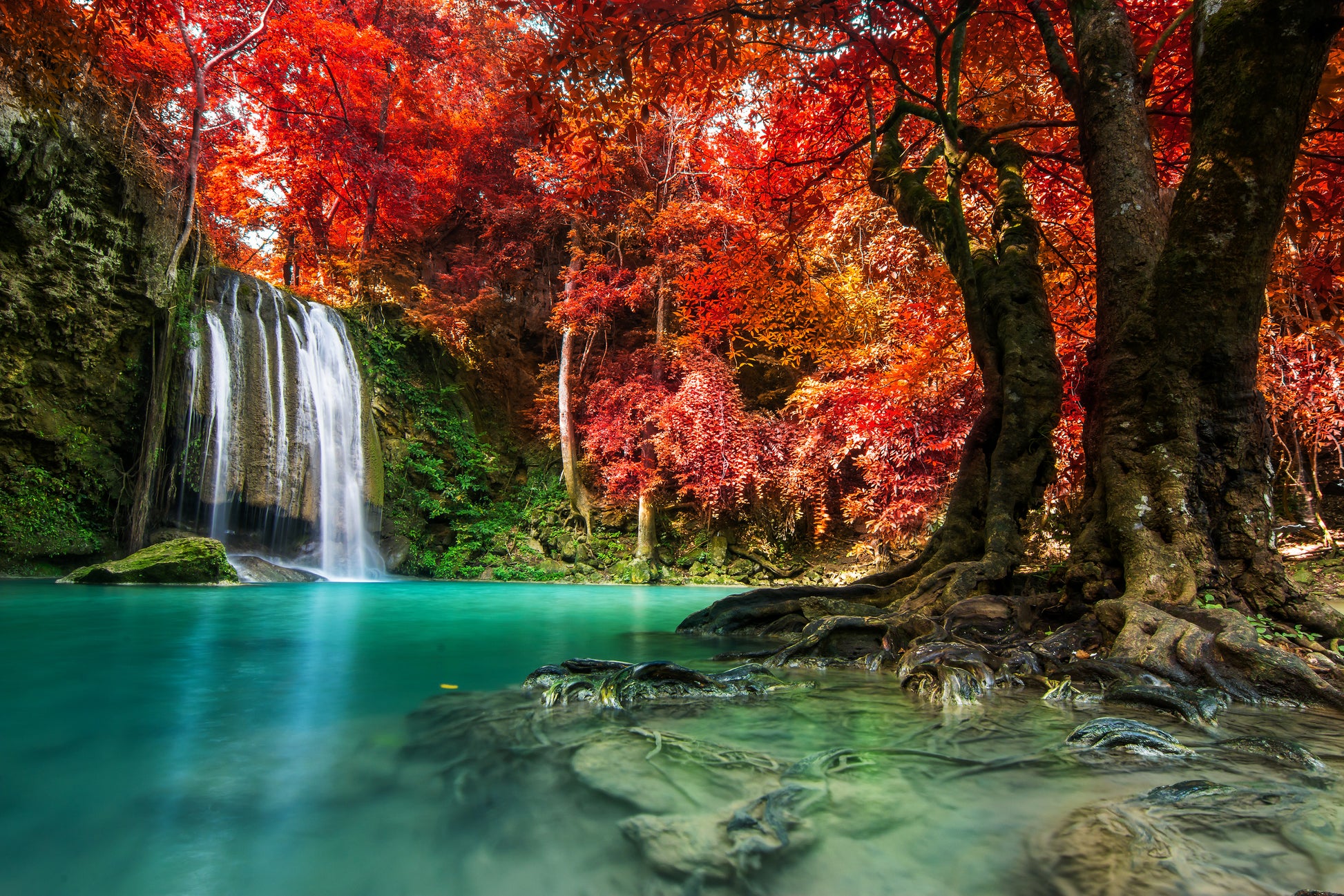 Waterfall & Red Leaves Tree Photograph Print 100% Australian Made