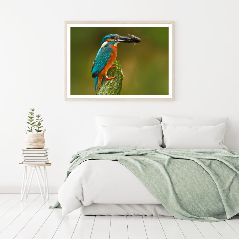 Kingfisher Closeup Photograph Home Decor Premium Quality Poster Print Choose Your Sizes