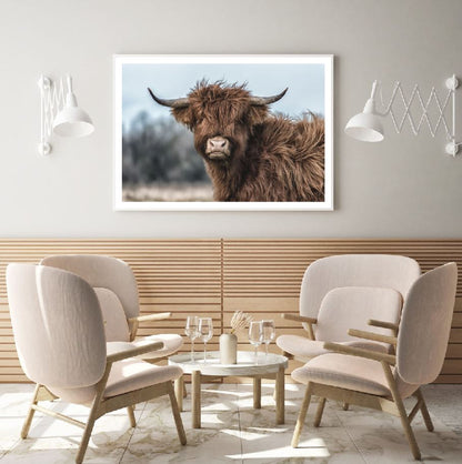 Highland Cow Portrait Photograph Home Decor Premium Quality Poster Print Choose Your Sizes
