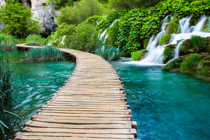 Wooden Pier Over a Water Stream In Forest PhotographPrint 100% Australian Made