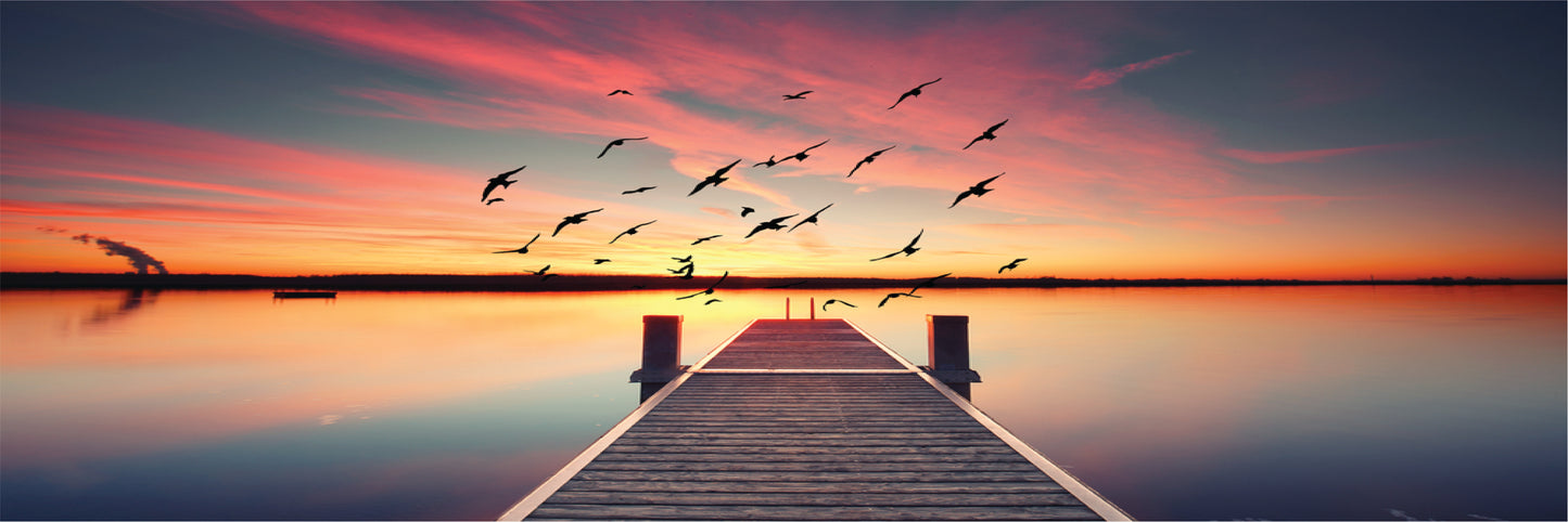 Panoramic Canvas Sunset Wooden Pier Birds Flying High Quality 100% Australian made wall Canvas Print ready to hang